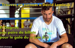 Concours David Lemieux